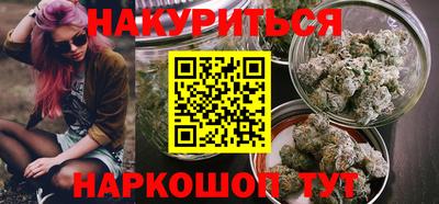 гидра Кингисепп