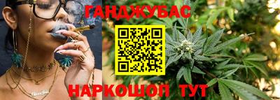 гидра Кингисепп