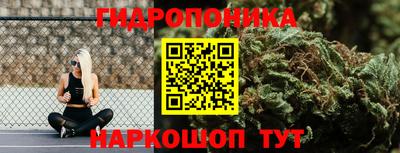 гидра Кингисепп