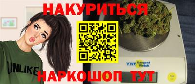 гидра Кингисепп