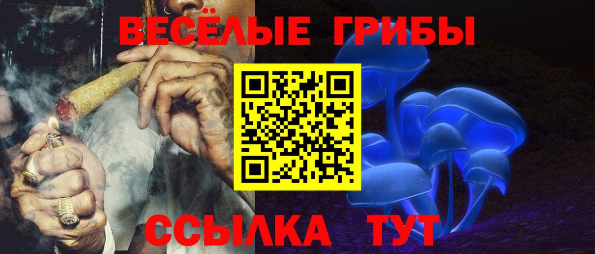 Псилоцибиновые грибы Psilocybe Камень-на-Оби